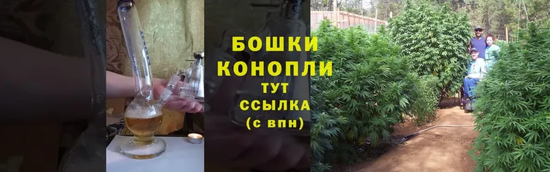 Шишки марихуана Ganja  Губаха 